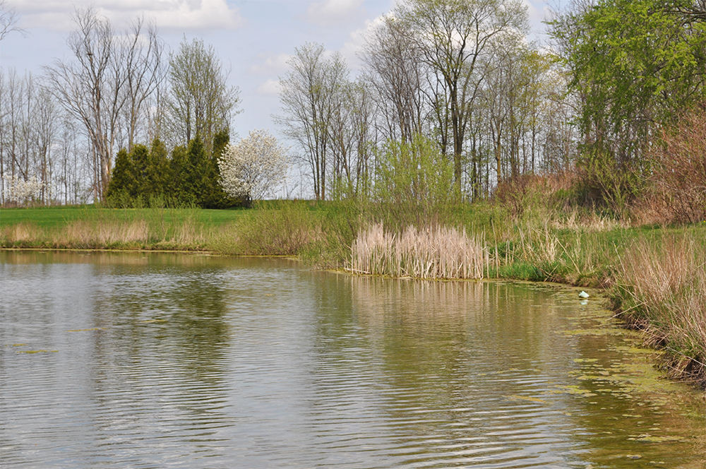 Ilderton Meadowcreek Park Pond Picture of Ilderton Meadowcreek Park Pond