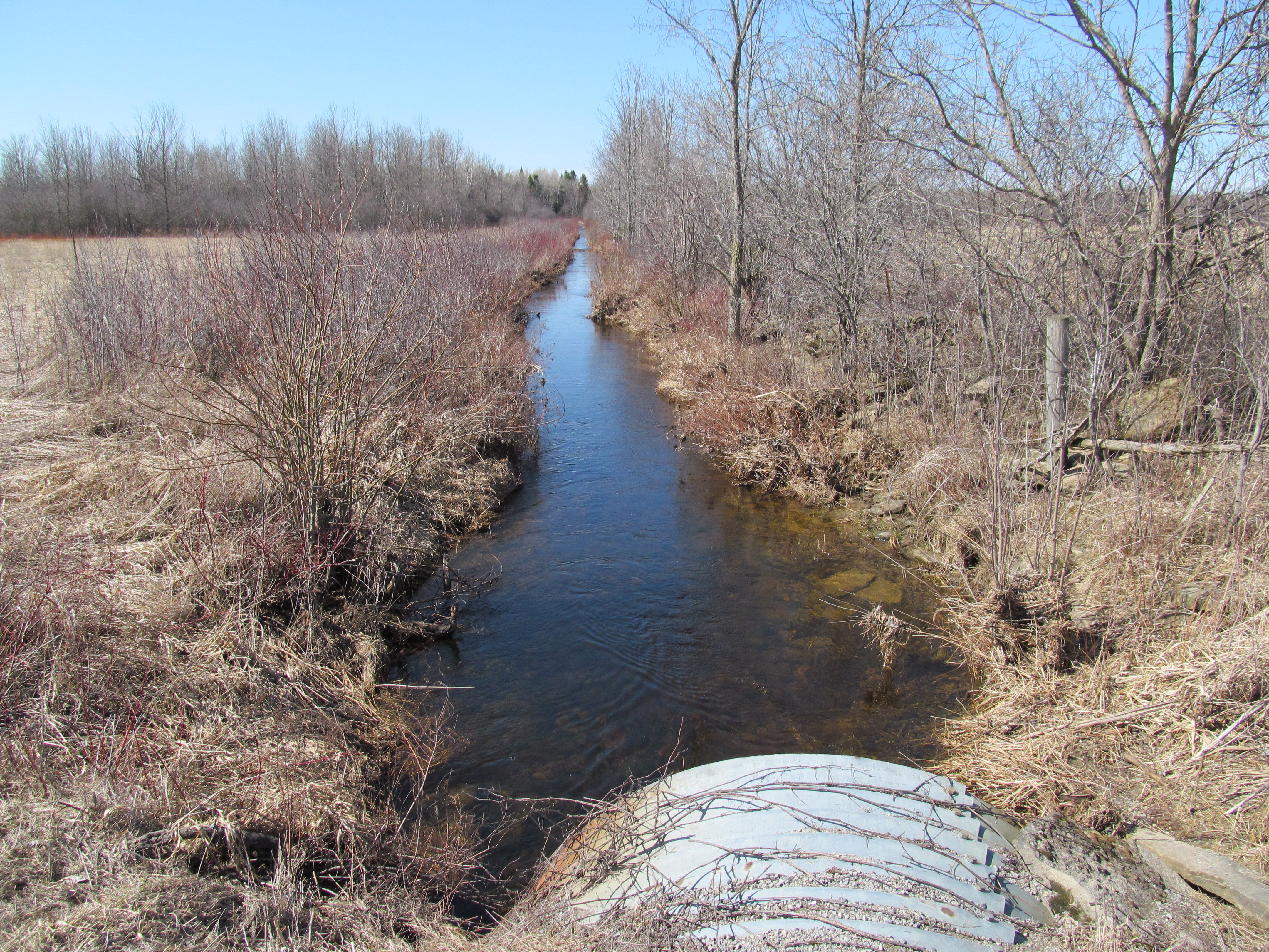 Picture of culvert draining into a municipal drain