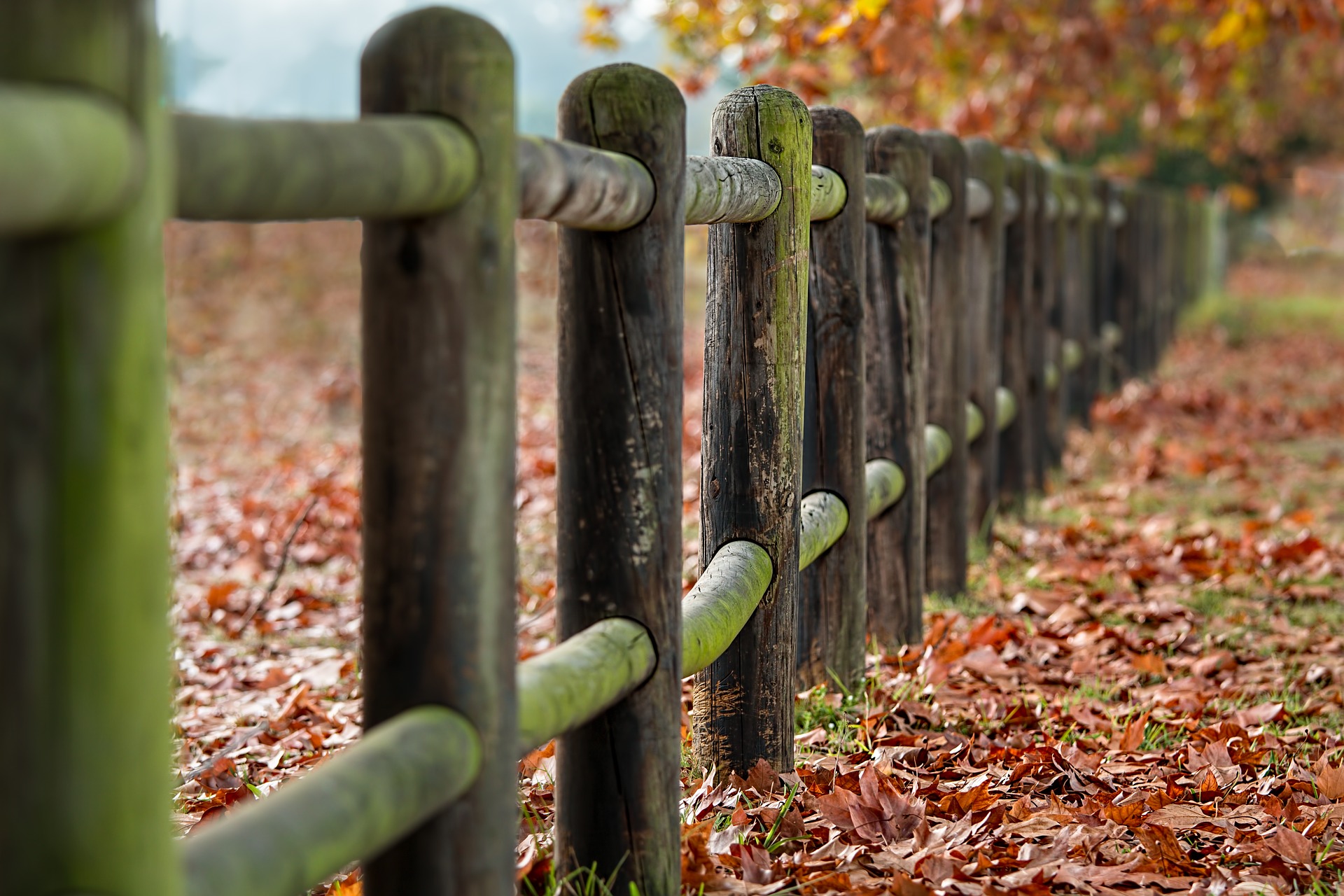 Fence Posts in Autumn Fence in autumn