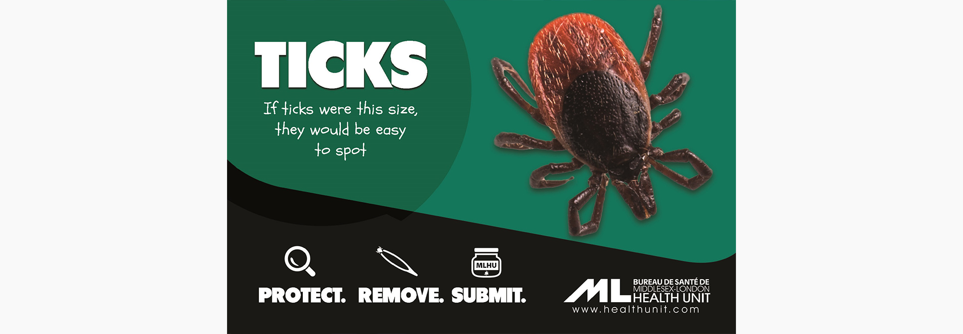 Tick
