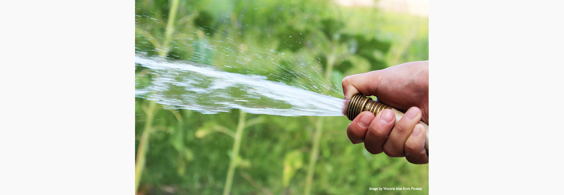 Garden Hose