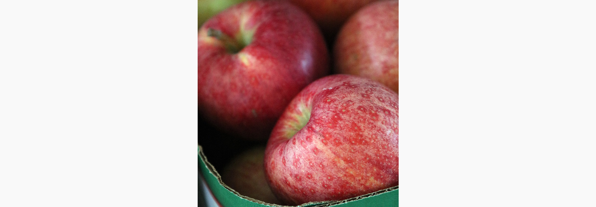 Apples in a basket