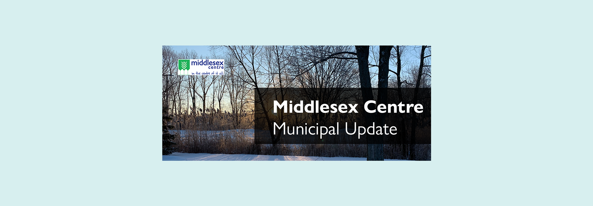 Newsletter Header - Winter