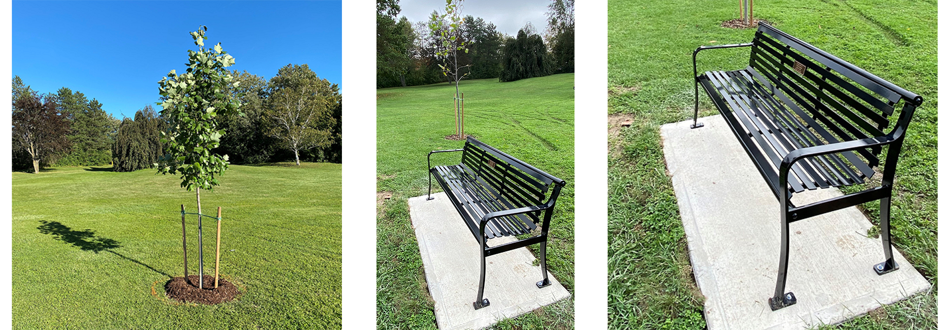 Tree and Bench Dedication