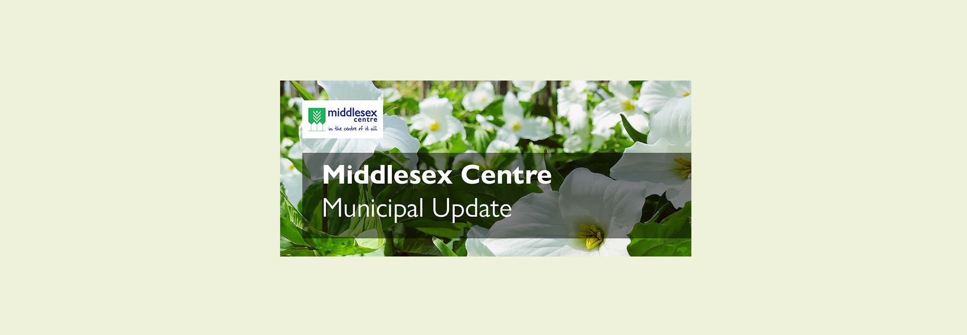 Middlesex Centre Newsletter Header - late spring - trilliums