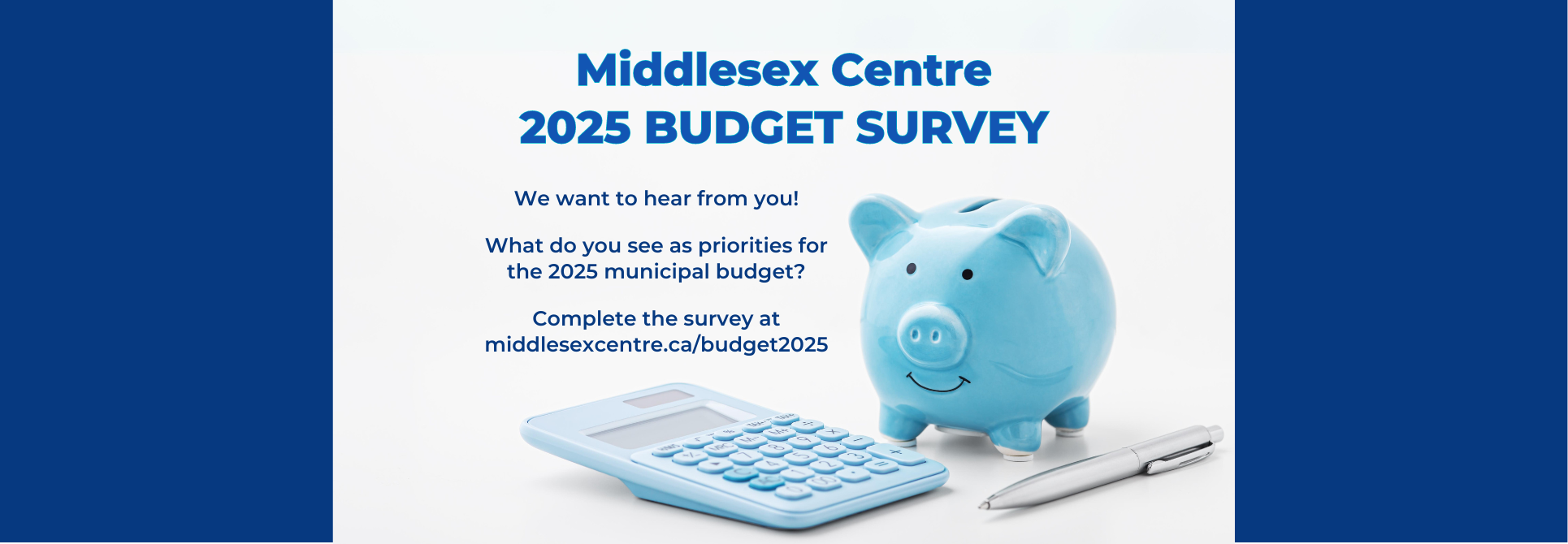 Budget 2025 Survey