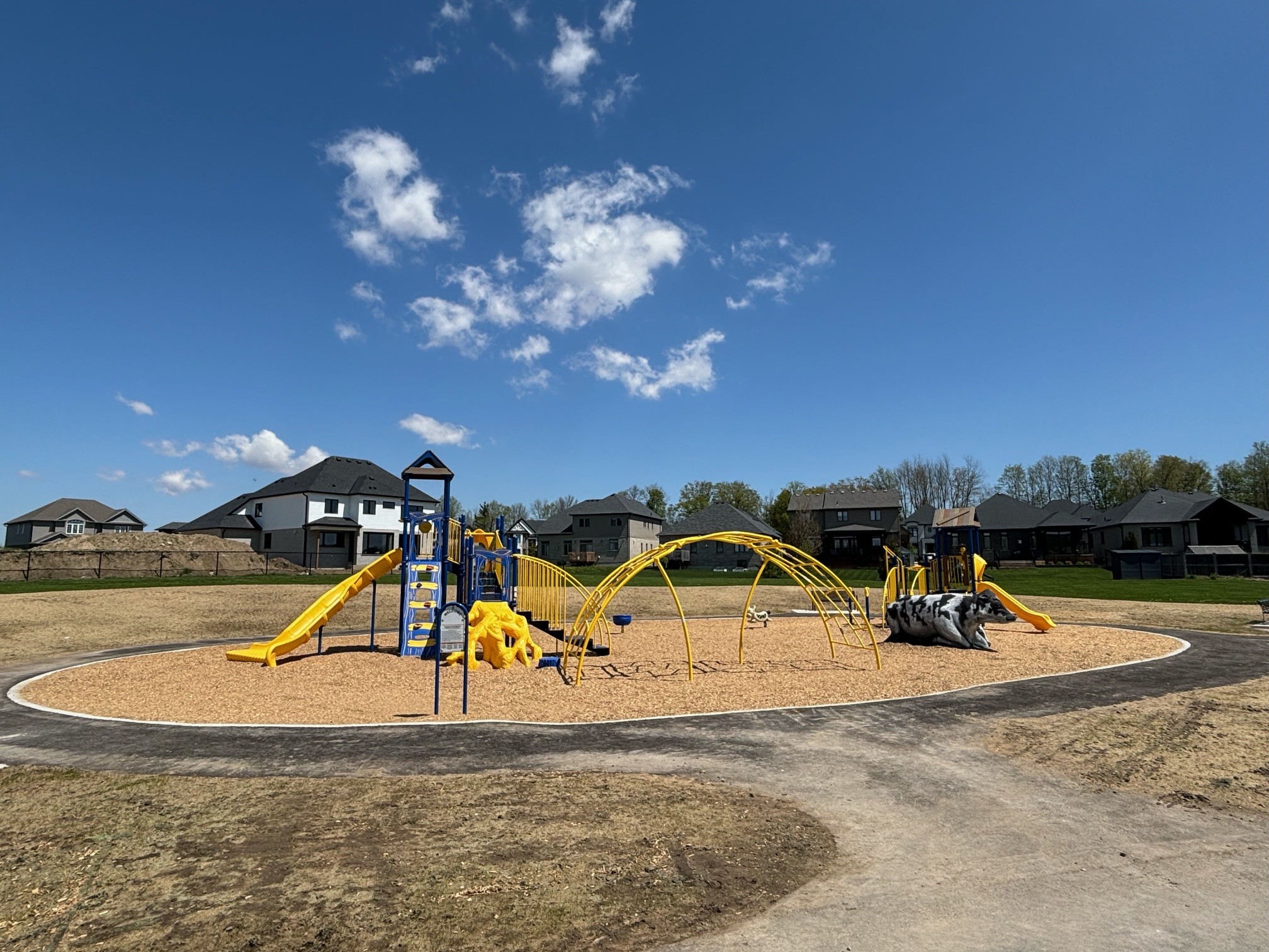 Timberwalk Lions Park Playground Timberwalk Lions Park Playground