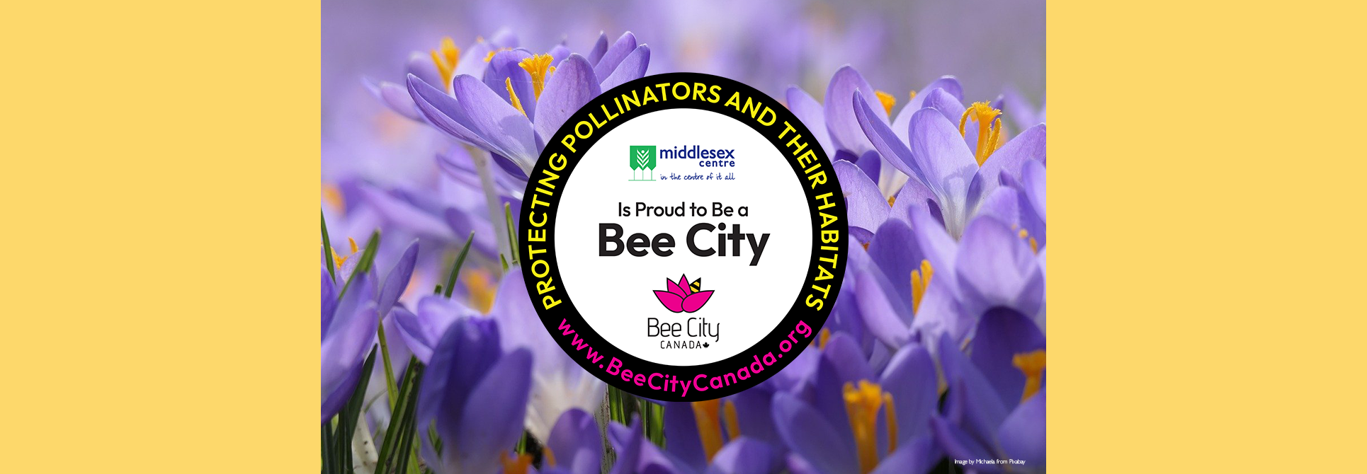 Bee City Logo and Flowers
