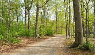 Picture Douglas B. Weldon Park Trail