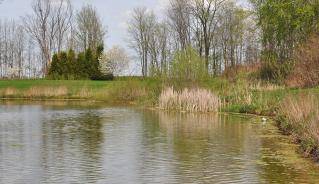 Picture of Ilderton Meadowcreek Park Pond