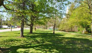 Picture of Tiffany Park