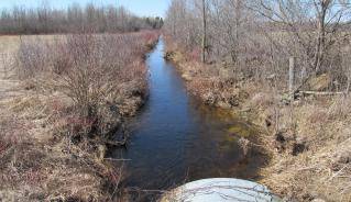 Picture of culvert draining into a municipal drain