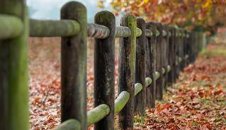 Fence in autumn