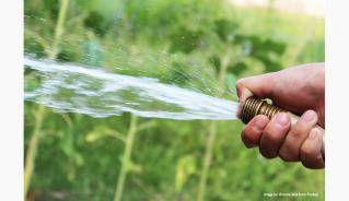 Garden Hose
