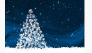 white christmas tree against a dark night sky