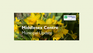 Newsletter - Spring with daffodils