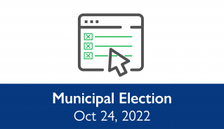 Icon vote on computer