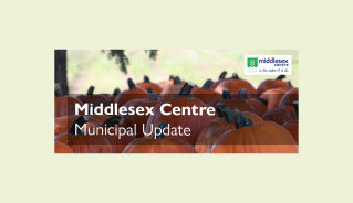 Newsletter_Image_Fall_Pumpkins