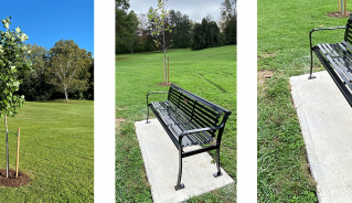 Tree and Bench Dedication