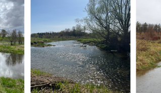 Three Views of Medway Creek