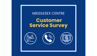 customer service survey