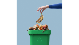 organic recycling