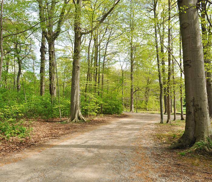 Picture Douglas B. Weldon Park Trail