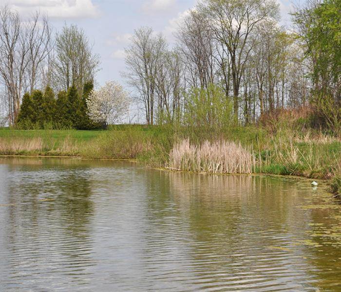 Picture of Ilderton Meadowcreek Park Pond