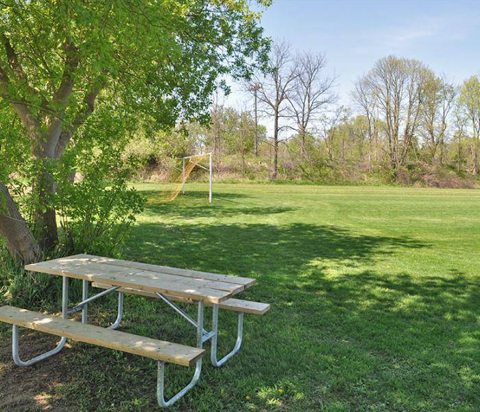 Picture of Pleasant Park Soccer Field