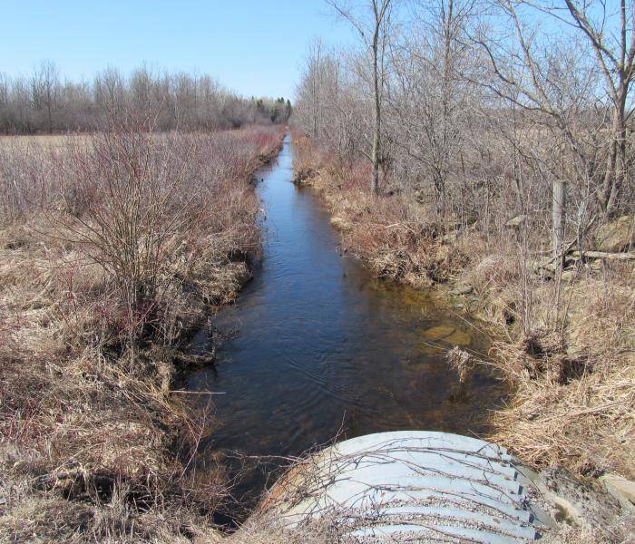 Picture of culvert draining into a municipal drain