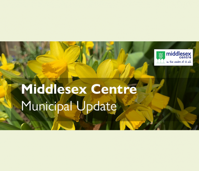 Newsletter - Spring with daffodils