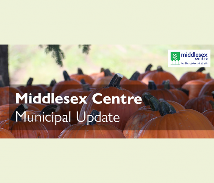 Newsletter_Image_Fall_Pumpkins