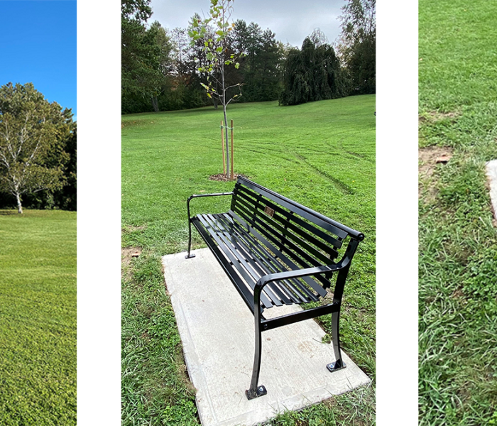 Tree and Bench Dedication