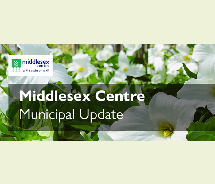 Middlesex Centre Newsletter Header - late spring - trilliums