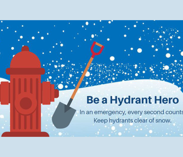 clear fire hydrants of snow