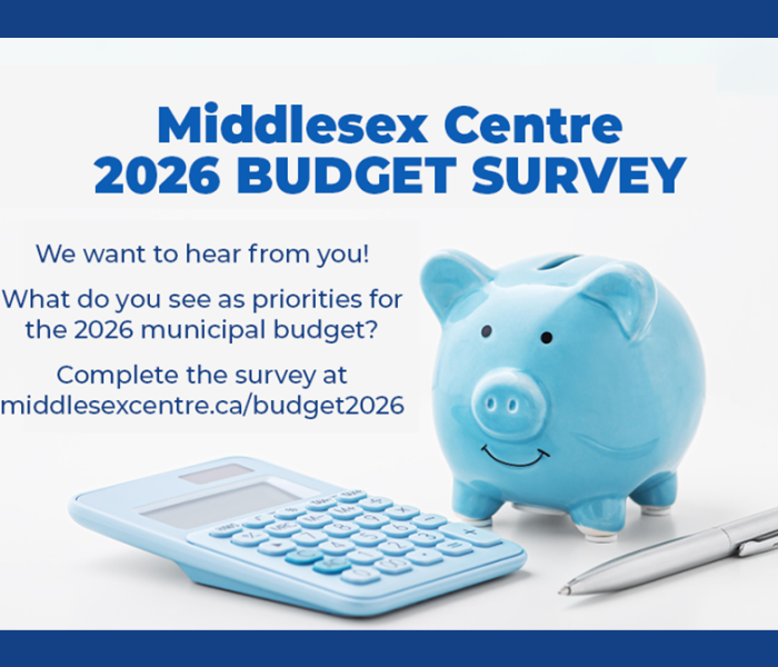 Budget 2026 Survey