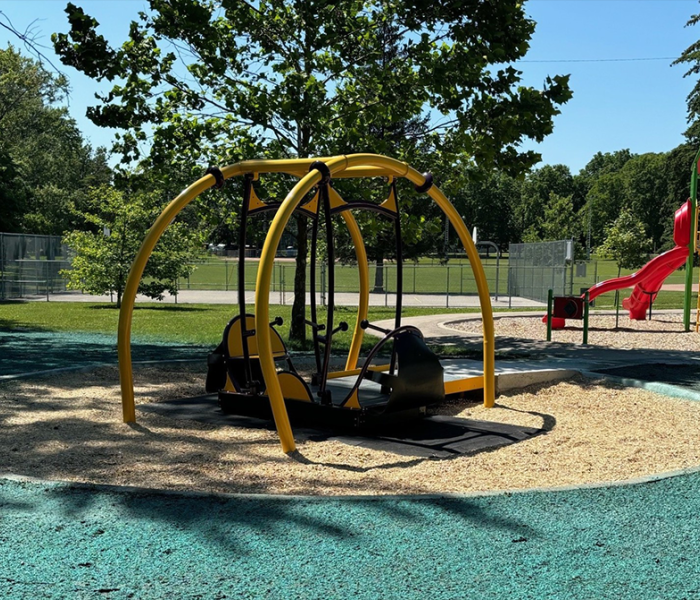Poplar Hill Wheelchair Accessible Swing