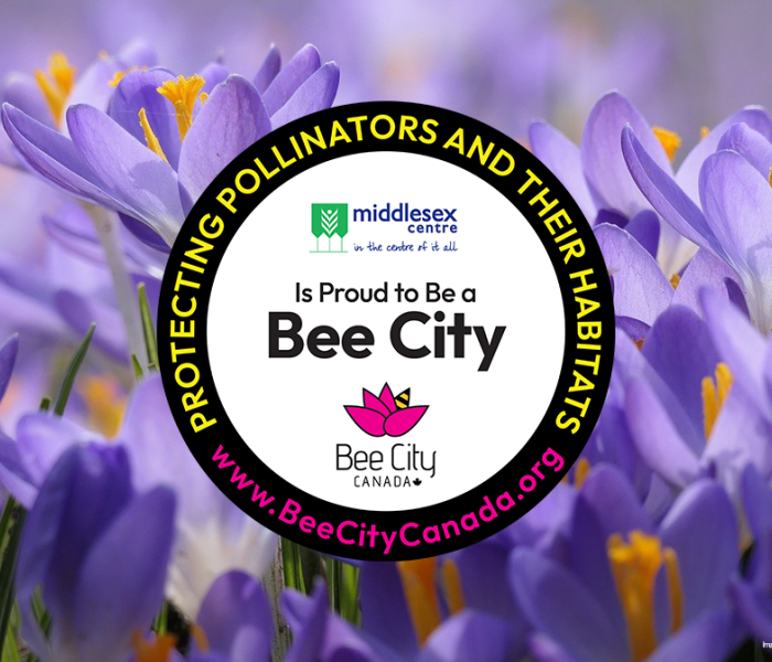 Bee City Logo and Flowers