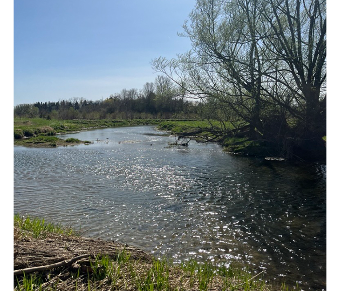 Three Views of Medway Creek