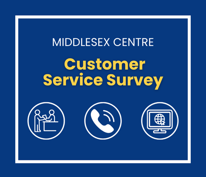 customer service survey