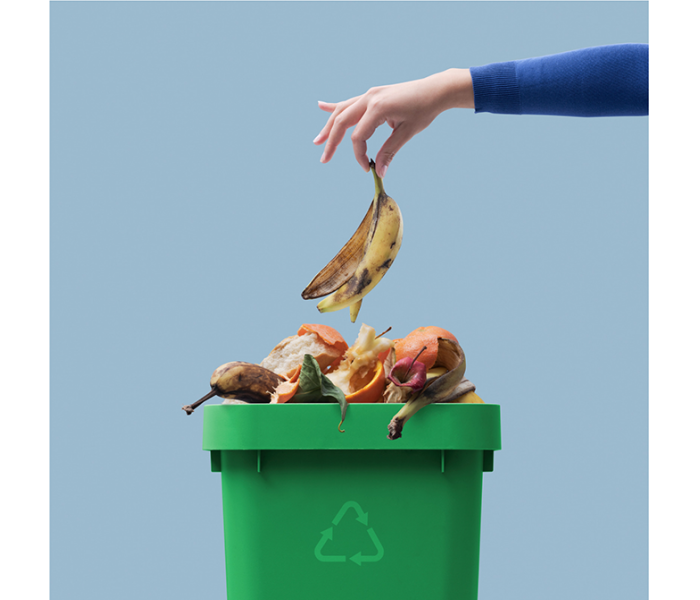 organic recycling